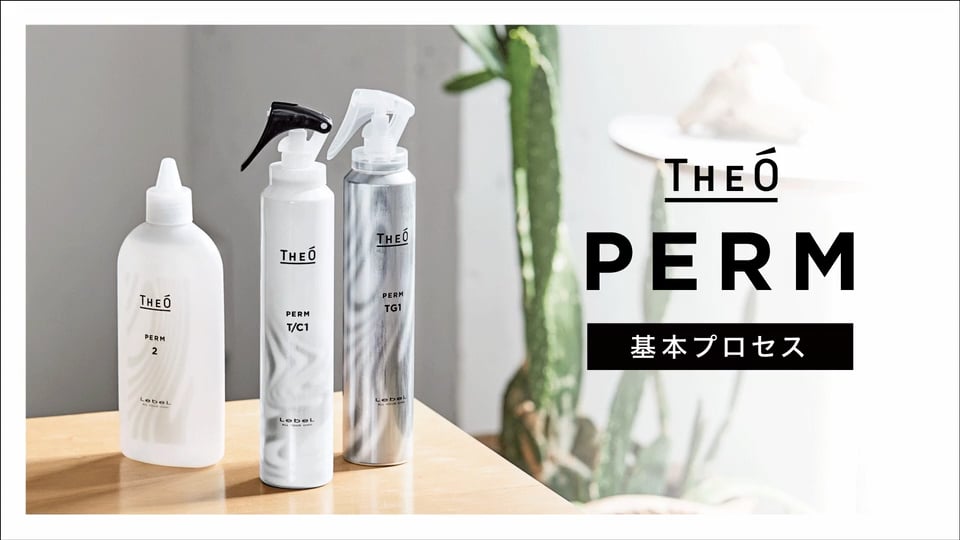 THEÓ PERM technical process